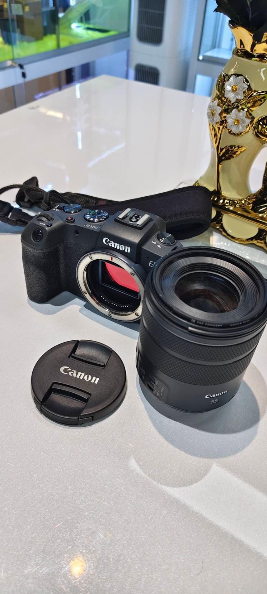 Canon EOS RP + RF 85mm f/2 Macro - รูปที่ 4